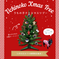 株式会社イデビュのプレスリリース画像1