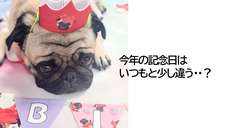 株式会社イデビュのプレスリリース画像1