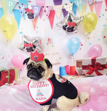 株式会社イデビュのプレスリリース画像2