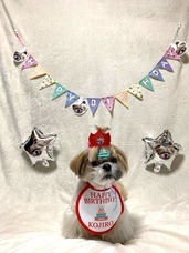 株式会社イデビュのプレスリリース画像3