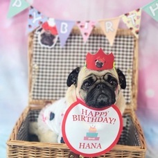 株式会社イデビュのプレスリリース画像5