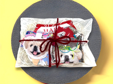 株式会社イデビュのプレスリリース画像13