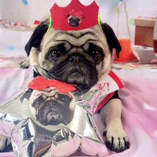 株式会社イデビュのプレスリリース画像11