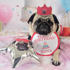 株式会社イデビュのプレスリリース画像10