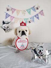 株式会社イデビュのプレスリリース画像12