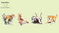 株式会社イデビュのプレスリリース画像2