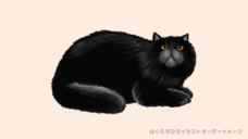 株式会社イデビュのプレスリリース画像2