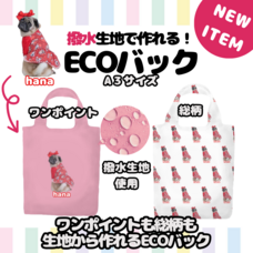 株式会社イデビュのプレスリリース画像1