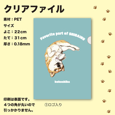 株式会社イデビュのプレスリリース画像2