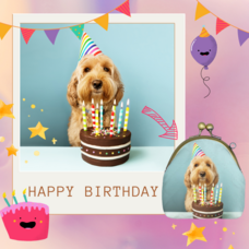 株式会社イデビュのプレスリリース画像1