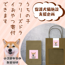 株式会社イデビュのプレスリリース画像2