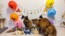 有限会社葛飾ラテックス工業所のプレスリリース画像2