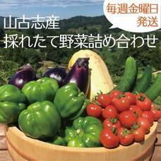 中越防災フロンティアのプレスリリース画像1