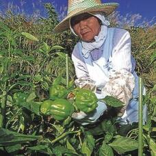 中越防災フロンティアのプレスリリース画像2