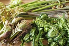 中越防災フロンティアのプレスリリース画像2