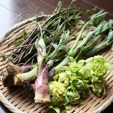 中越防災フロンティアのプレスリリース画像1