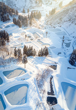 中越防災フロンティアのプレスリリース画像2