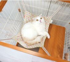 株式会社ペットプロジャパンのプレスリリース画像1