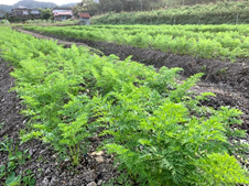 夢の塾のプレスリリース画像1