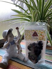 夢の塾のプレスリリース画像1