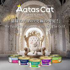 株式会社ファンタジーワールドのプレスリリース画像1