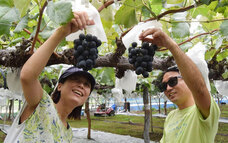 有限会社しまのプレスリリース画像3