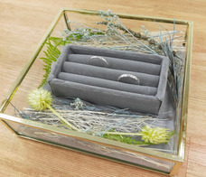 Ring Ringのプレスリリース画像9