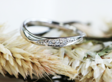 Ring Ringのプレスリリース画像3