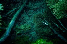 PROJECT ATAMI 実行委員会のプレスリリース画像6