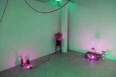 PROJECT ATAMI 実行委員会のプレスリリース画像6