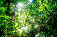 PROJECT ATAMI 実行委員会のプレスリリース画像3