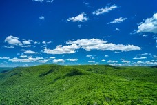 PARFUM SYMPHONIE のプレスリリース画像10