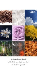 PARFUM SYMPHONIE のプレスリリース画像8