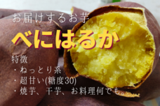 サードリングのプレスリリース画像10