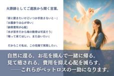 サードリングのプレスリリース画像1