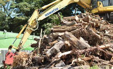 株式会社こまむぐのプレスリリース画像4