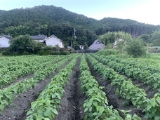 coco sasayamaのプレスリリース画像1