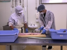 株式会社On-Coのプレスリリース画像3