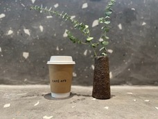 株式会社On-Coのプレスリリース画像4