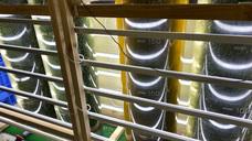 株式会社シナジーブリーディングのプレスリリース画像3