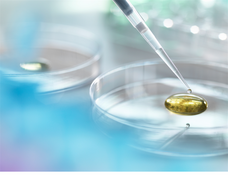 株式会社Japan Medical Hempのプレスリリース画像2