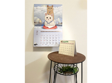 株式会社 Jetoy Japanのプレスリリース画像1