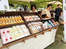 株式会社ONEのプレスリリース画像1