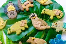 株式会社クリマロのプレスリリース画像3