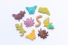 株式会社クリマロのプレスリリース画像2