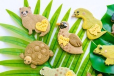 株式会社クリマロのプレスリリース画像6