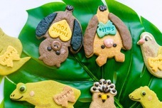 株式会社クリマロのプレスリリース画像4