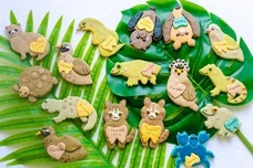 株式会社クリマロのプレスリリース画像6