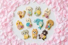 株式会社クリマロのプレスリリース画像4