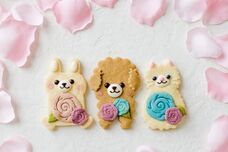 株式会社クリマロのプレスリリース画像1